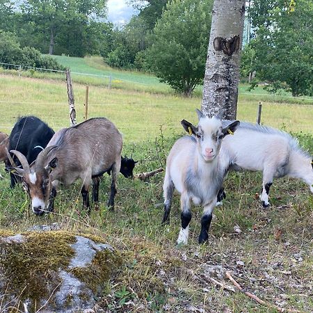 Penzion Haeradssaetter Gard 1 Valdemarsvik Exteriér fotografie
